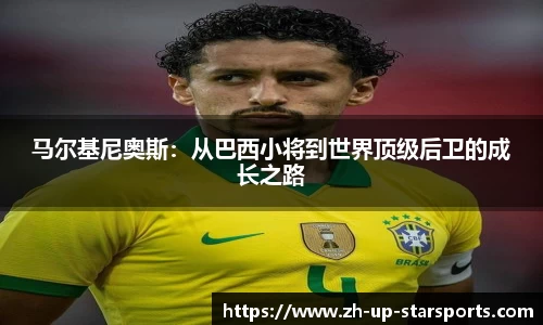 星空体育官方平台