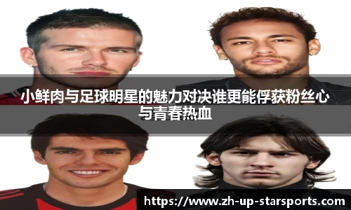  星空体育官网入口