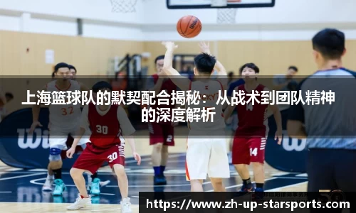 星空体育官方平台